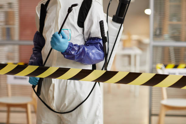 Professional Sewage Cleanup technician working in Perrysville, IN